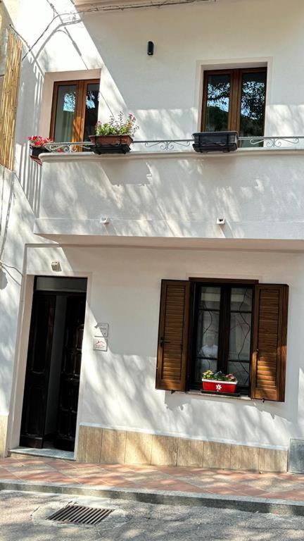 多尔加利 Casa Del Corso酒店 外观 照片